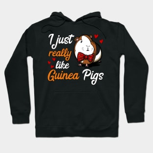 I Just Really Like Guinea Pigs Funny Pet Hoodie